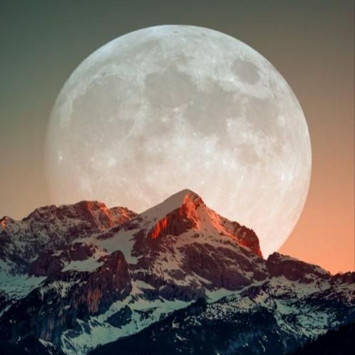 بذار برو جاتو گرفت الکلو پیک ها جوابمو نمیده