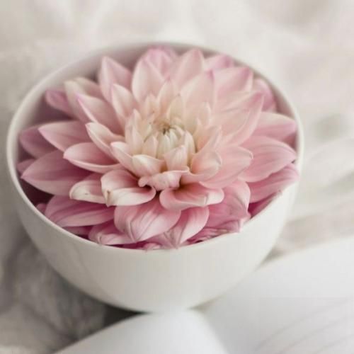 اون که موهاش زرد عقدیه اون خوبه ها ولی کدیه