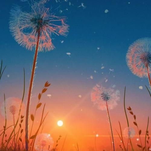 برگرد دیگه نرو نشکن دل منو نرو نرو