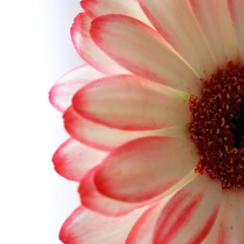 مهسا خسروانی عینک ری بن اصلم هرچی دارم مال تو