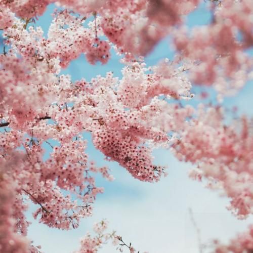 مهسا خسروانی نه تب داروم نه جاییم میکنه درد