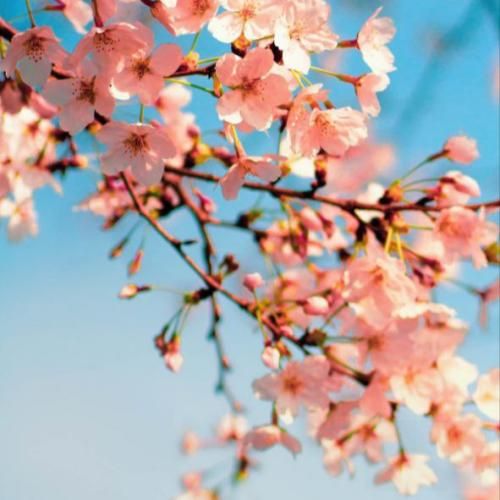  نفس بیب من نیست استیبل میده خیابون استرس