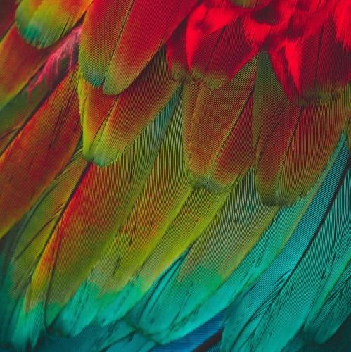 اونی که دوسش داشتمو رفت روحش حالت تو توعه