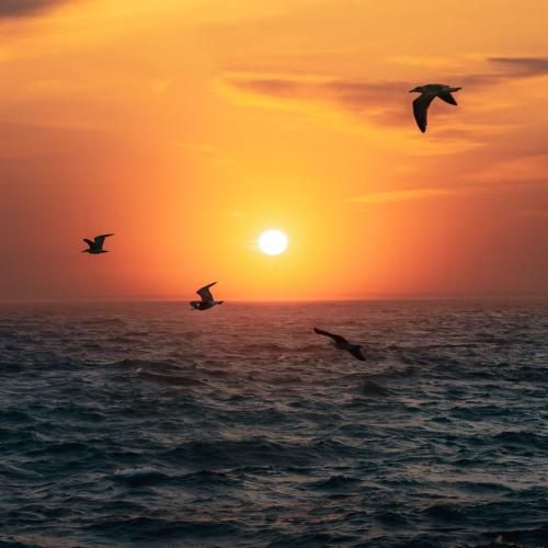 مرا چشمیش خون افشان این آسمون سالهاست