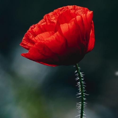  عشقمون نیست تکرار شدنی انقد مچیم اصلا انگار