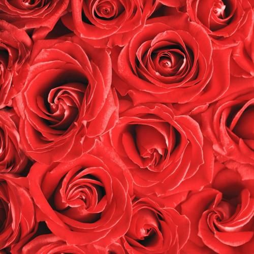 سنا برزنجه سراب