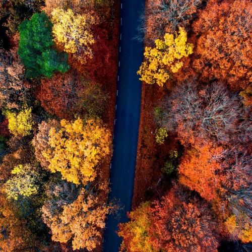  چشات مثل صدف داره مروارید تو مال خودم بودی