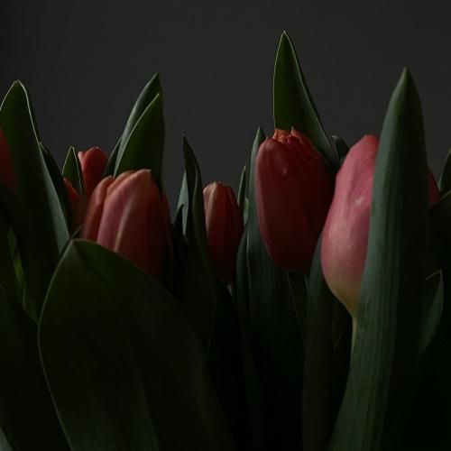  همه جوره باهام سوختی و ساختی من خوبو