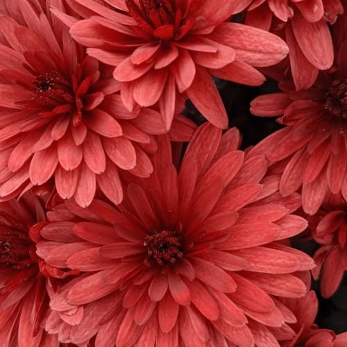 ته جذابیتت جاذبه ی اون دو چشات