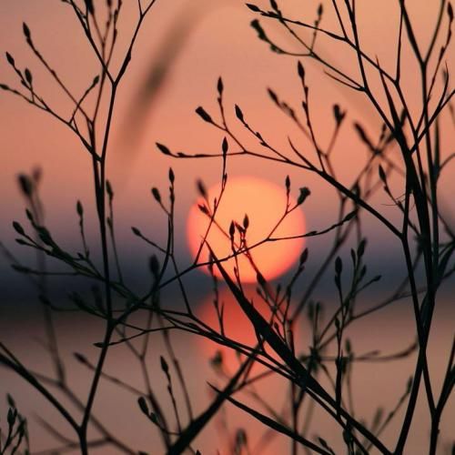 بچه چشات بباره کی میکنه بغلت