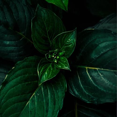 الان دختر اوضاع بد خیته توی باغچه ی دلم