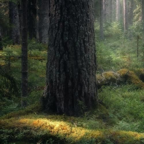 میگی تایپتم هر سری به من دیوونه ی وایبتم