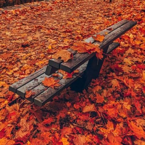  تموم تعهداتمو کشتم به جز هنر نمیشد بخرنم