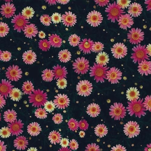  سلامتی ستونا چاقی نیا توروما میپیچیم توبلوکادا