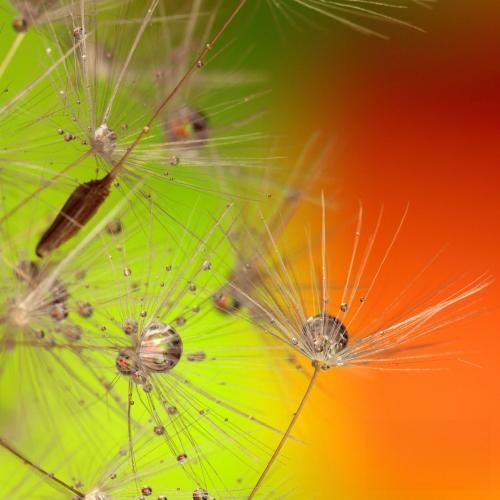  ویناک شد روانی نمیزنم تا صبح دماغی