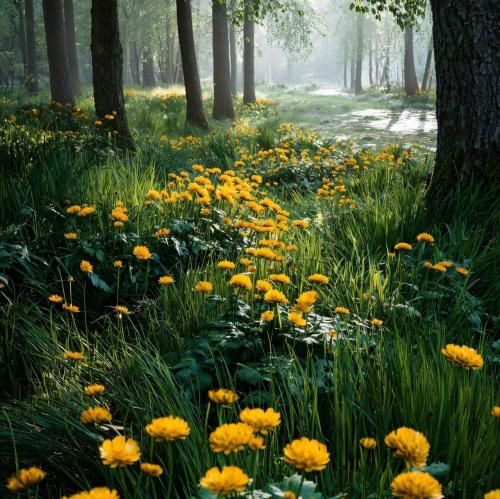  من سالهاست با خودم تو جنگم اما امروز