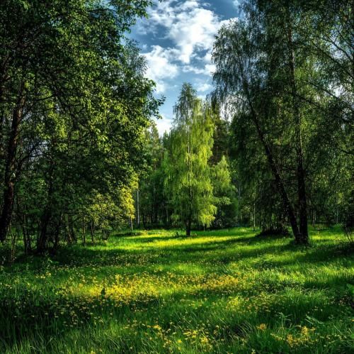  زمستون قبلی گفتی برمیگردی هوا شده سرد