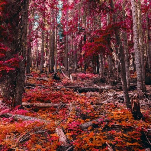 اصن کی فکرشو میکرد کی این طوری سردشی