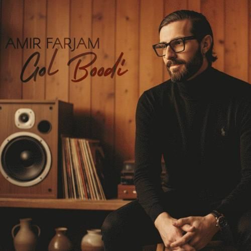 امیر فرجام گل بودی