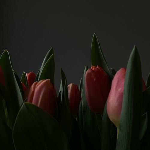  بودی تو خون من مث مواد یه شب نباشی