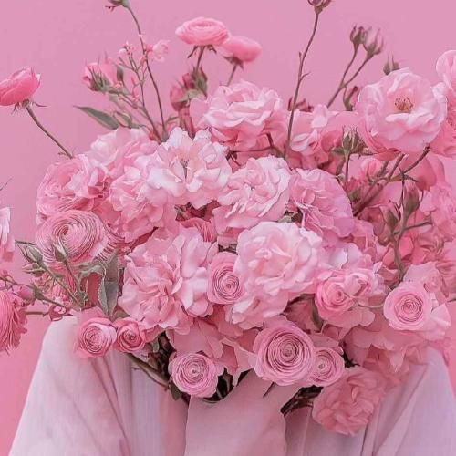  نکشیمون بابا علی بی غم چهار تا کارد بذار جهیزیت