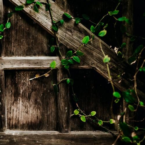  بی حس شدم نامبه نامب همه خیره رو من شدن