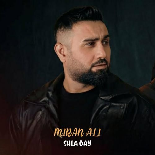 میران علی شله به‌ی