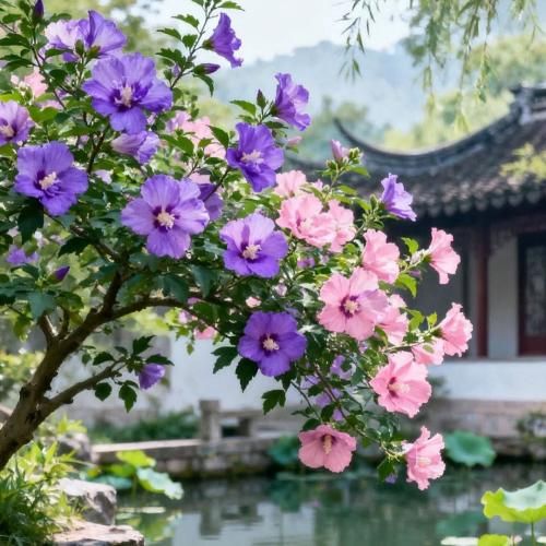  ولی من عاشق موی خرمنت بوی گردنت